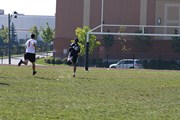 OTFL Gallery Image